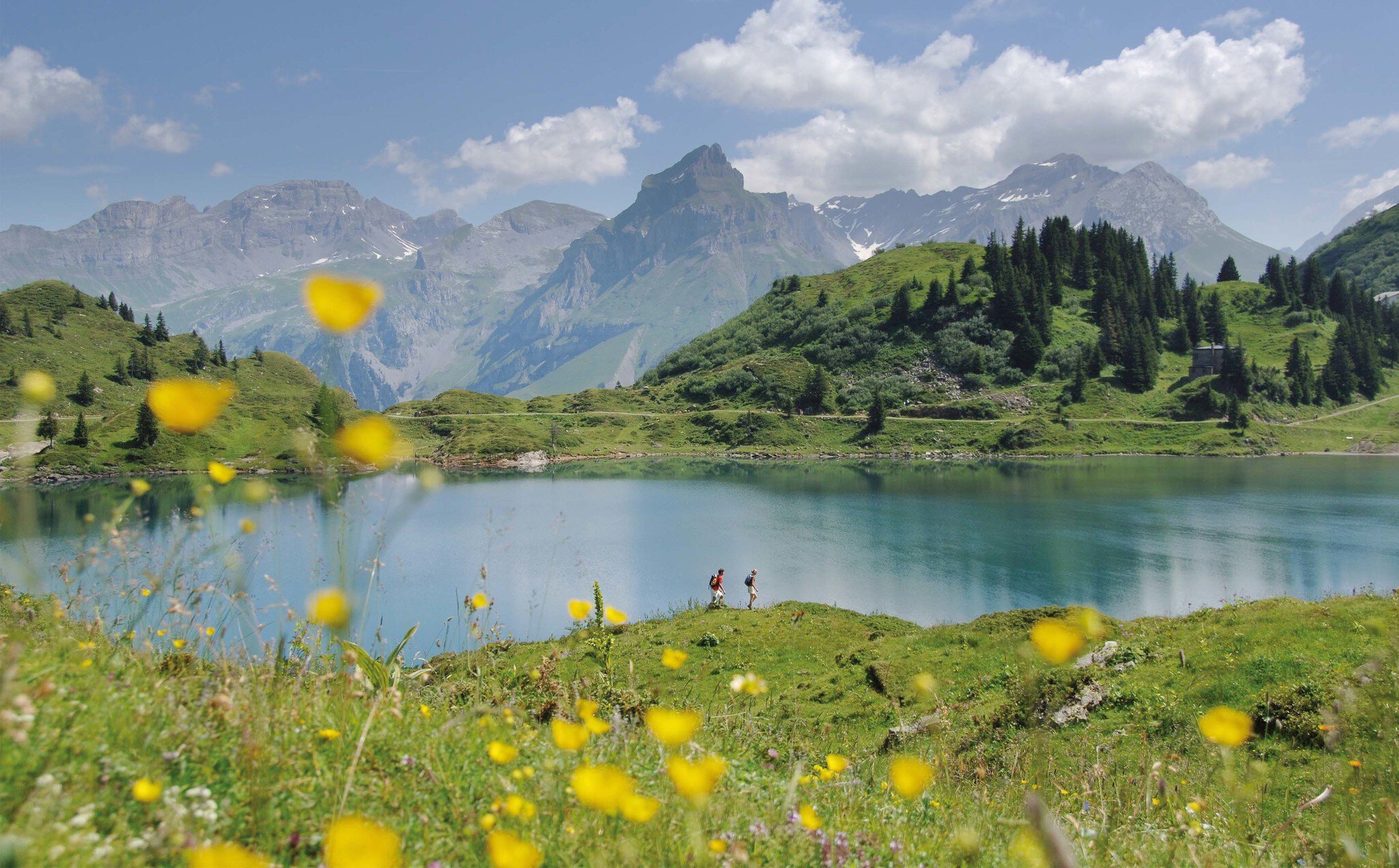 Titlis – ein Wanderparadies im Sommer