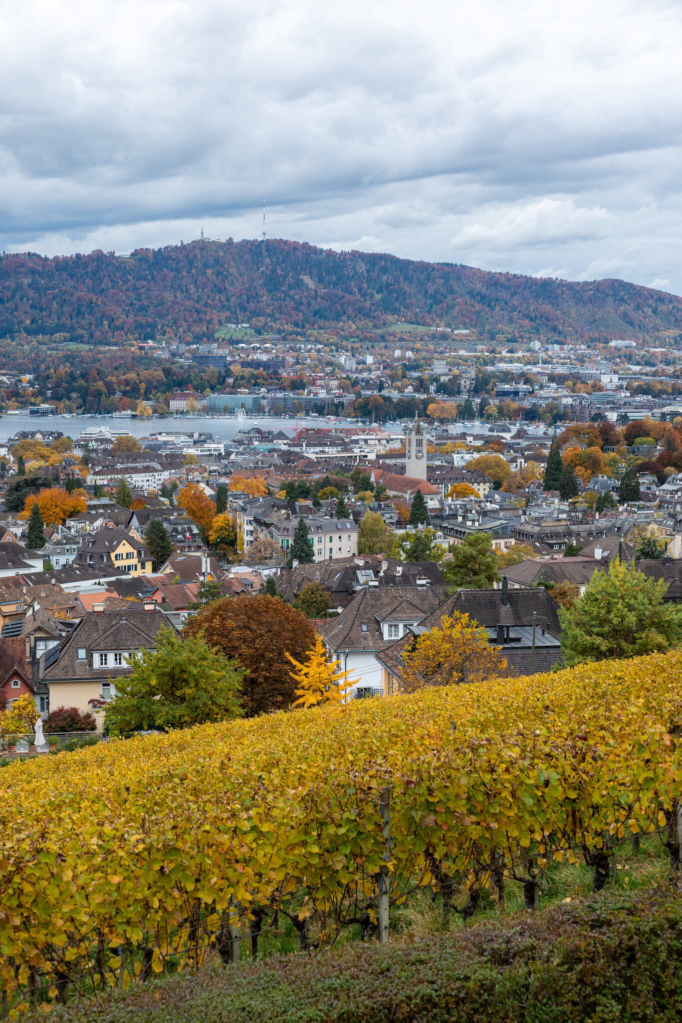 Belvedere Sonnenberg