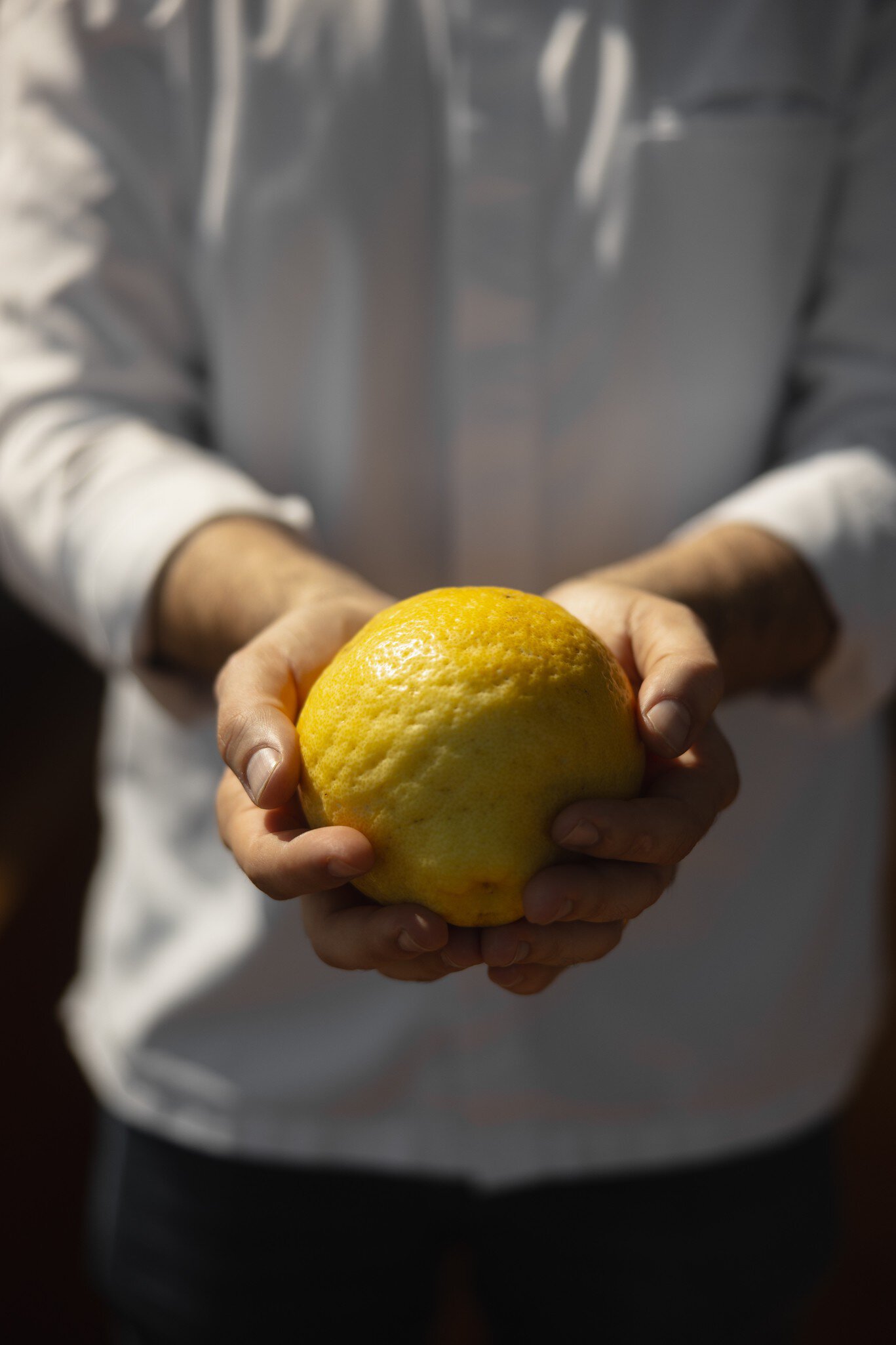 Alex – Lakefront Lifestyle Hotel & Suites