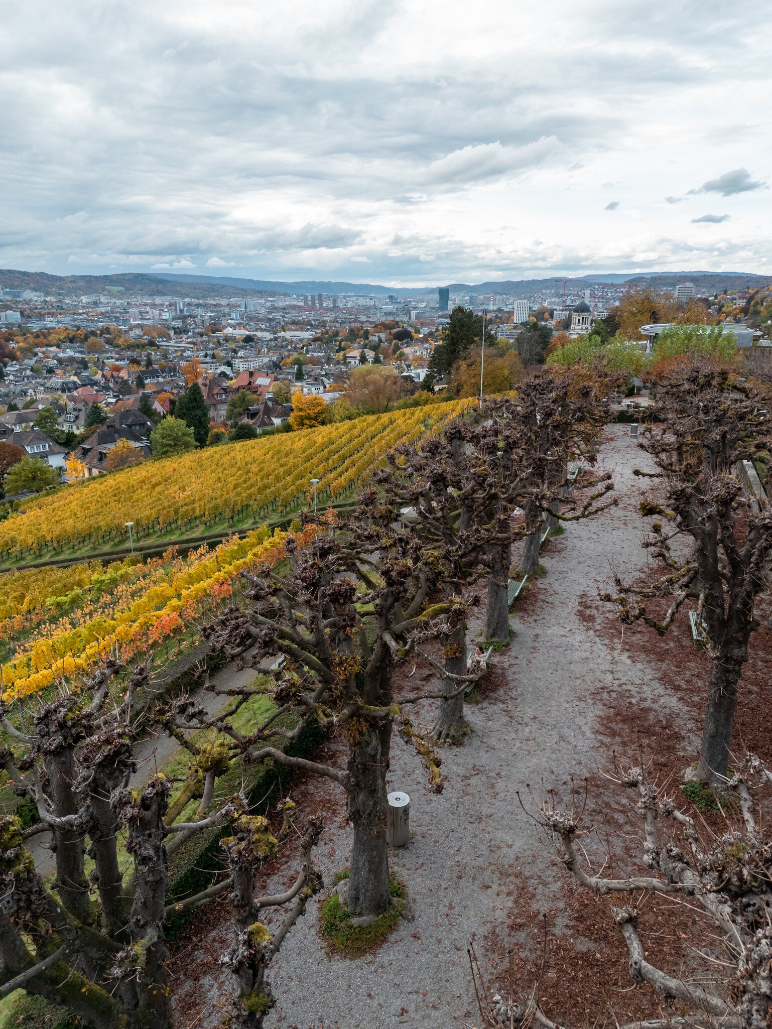 Belvedere Sonnenberg