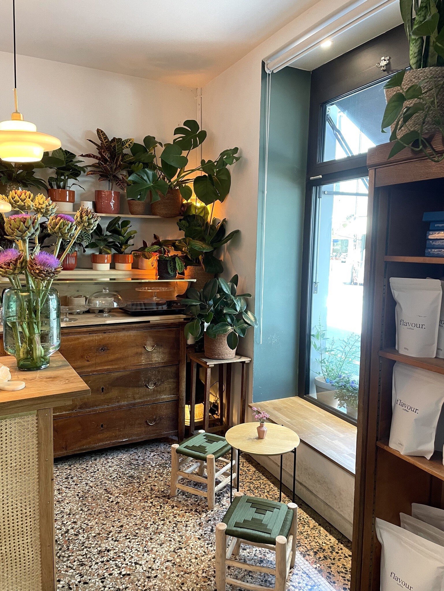 Flavour Coffee & Plants 