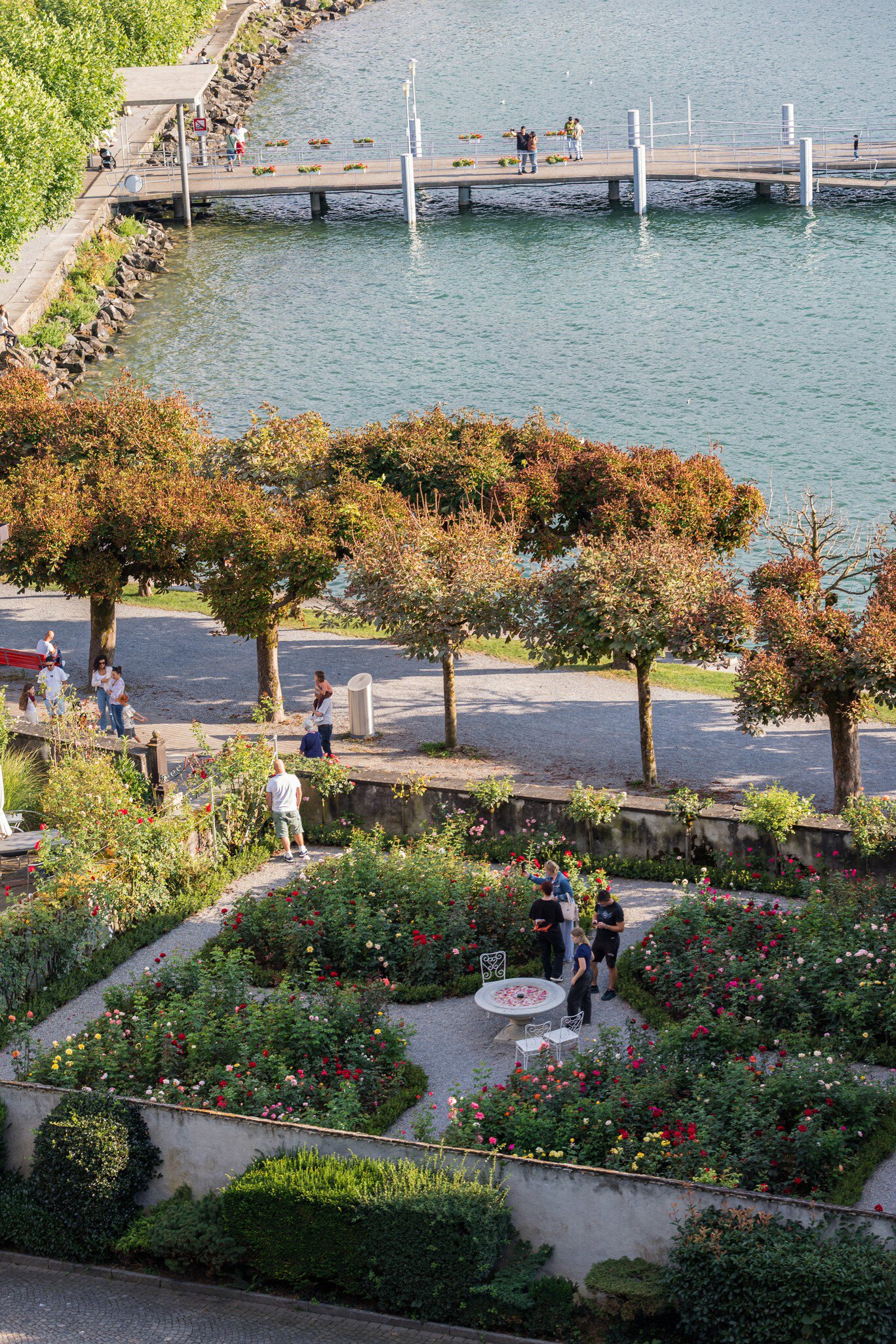 Rapperswil, la città delle rose: una pittoresca località sul Lago di Zurigo
