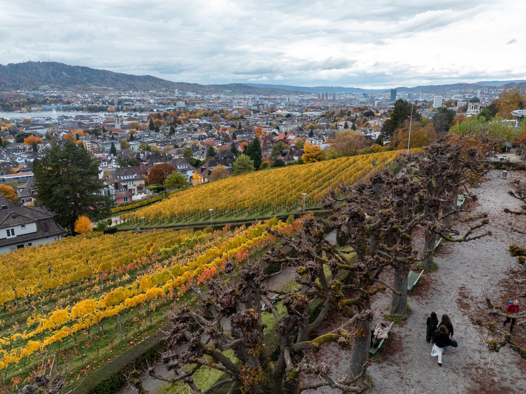 Belvedere Sonnenberg